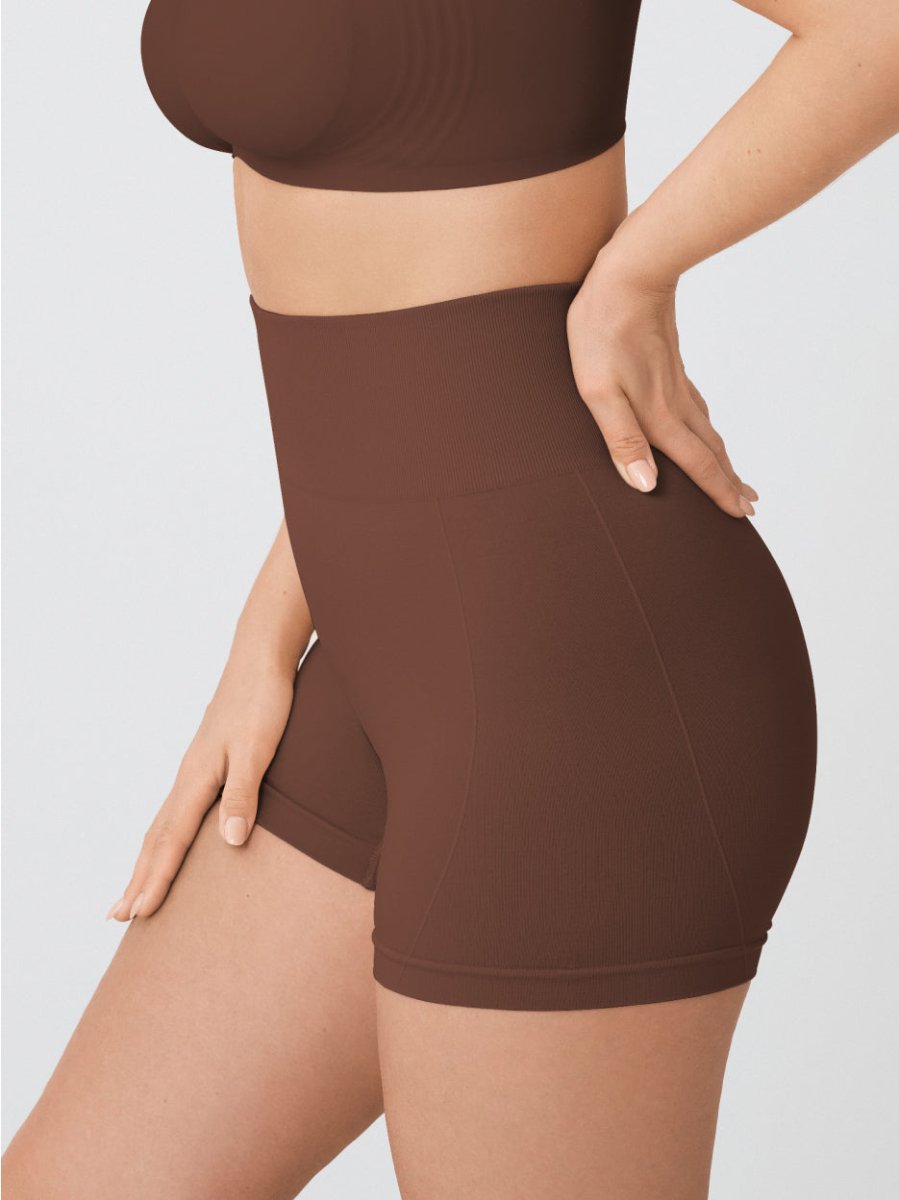 High - Waisted Shaper Boyshorts, Chocolate - Nuderie